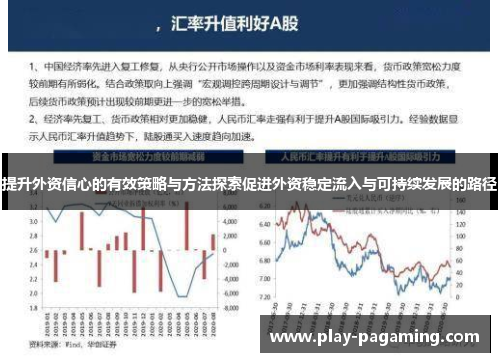 提升外资信心的有效策略与方法探索促进外资稳定流入与可持续发展的路径 提升外资信心的有效策略与方法探索促进外资稳定流入与可持续发展的路径