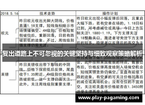 复出道路上不可忽视的关键坚持与细致观察策略解析 复出道路上不可忽视的关键坚持与细致观察策略解析