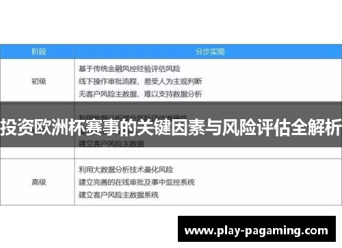 投资欧洲杯赛事的关键因素与风险评估全解析